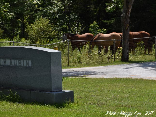 East Angus (Saint-Louis)