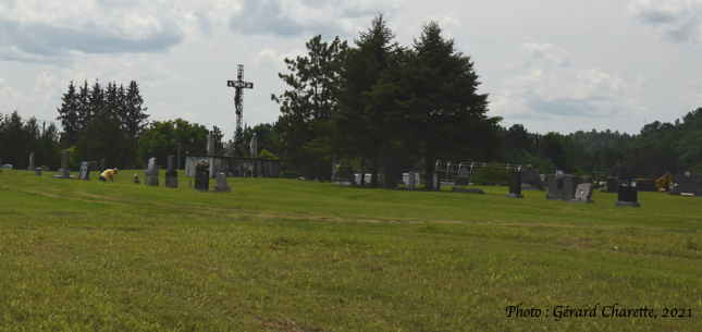 Gracefield (nouveau)